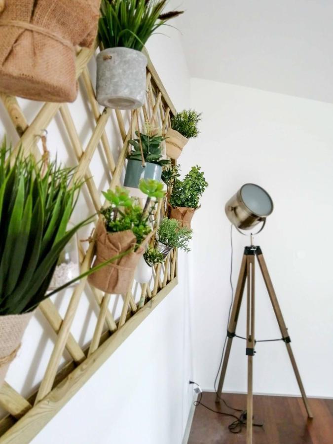 Ladeira Loft - Sea View In The City Center ปอนตาเดลกาดา ภายนอก รูปภาพ